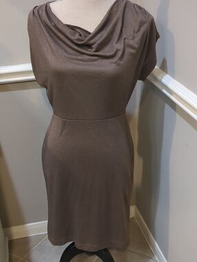 Ann Taylor Gold Taupe Sheath Dress